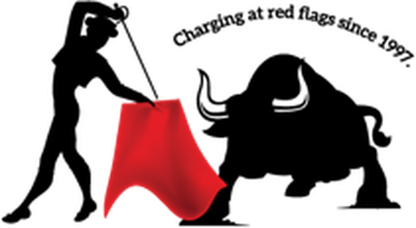 Direct Insight Services — charging at red flags since 1997